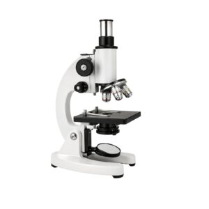 Compound Microscope