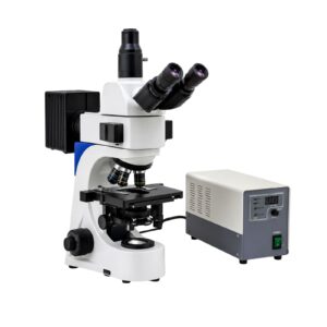 Fluorescence Microscope