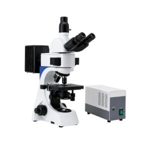 Fluorescence Microscope