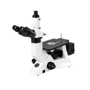 Inverted Microscope