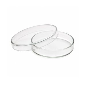 Petri Dishes