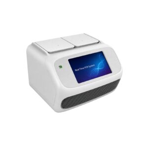 Real-Time PCR