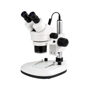 Stereo Microscope